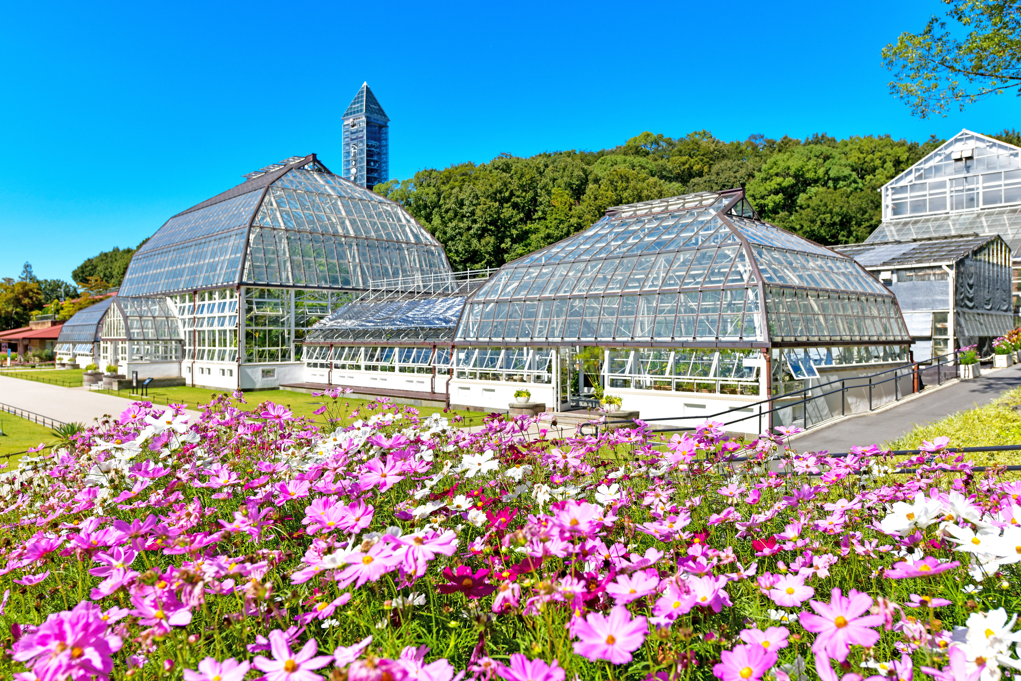 東山動植物園